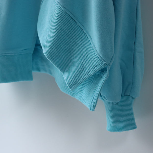 Icy-blue Sweat Shirts / アイシーブルースエット